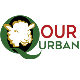 city art mobile app development company